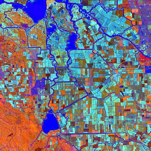 Visual Aesthetics in Environmental Heterogeneity